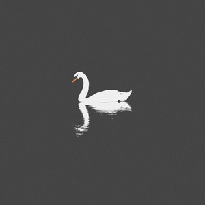 欧美日韩一级电影
