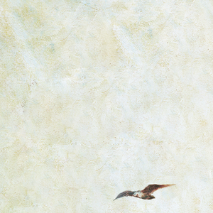 欧美日韩一级电影
